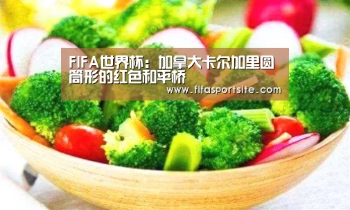 世界杯官网