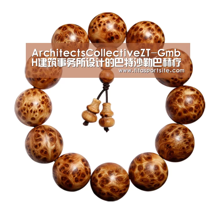 ArchitectsCollectiveZT-GmbH建筑事务所设计的巴特沙勒巴赫疗养中心-2026世界杯(图1) 世界杯