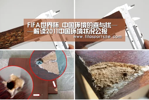 FIFA世界杯_中国环境的喜与忧——解读2011中国环境状况公报(图2) 2026世界杯